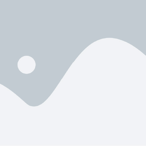 placeholder-portfolio_1-1
